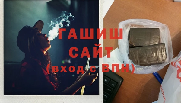 прущие грибы Алзамай