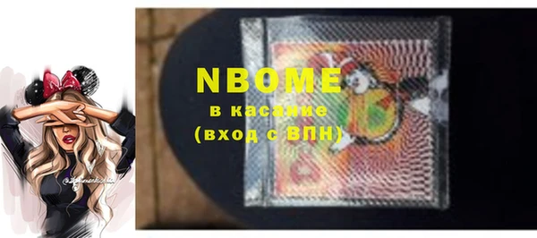 прущие грибы Алзамай