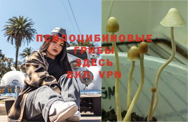 бутират Алексеевка