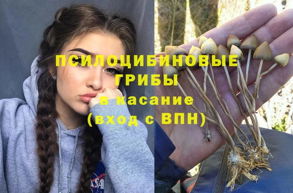 прущие крисы Алексин